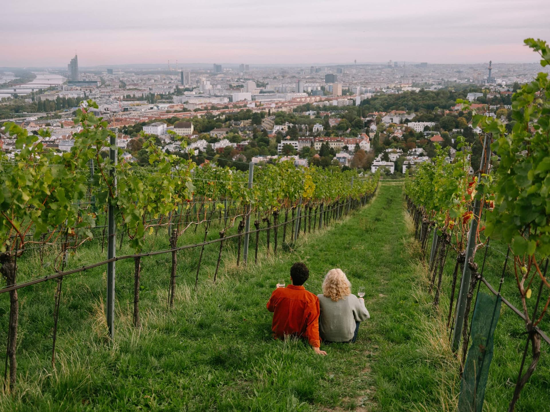 Blick über Wien von den Weingärten am Nussberg